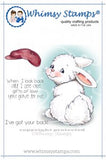 Whimsy Stamps/C. Armstrong "Bunny Got Your Back" Rubber Stamp